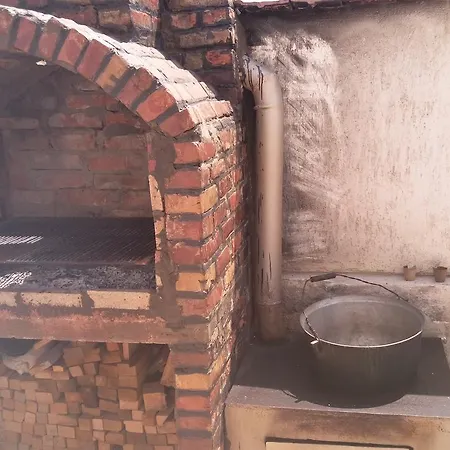 Homestay Casa Diana Navodari